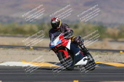 media/Nov-12-2023-SoCal Trackdays (Sun) [[5d1fba4e7d]]/Turn 14 (1035am)/